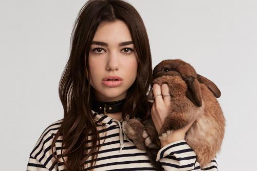 Rekor Dua Lipa di Dunia Musik Internasional Layak Diacungi Jempol